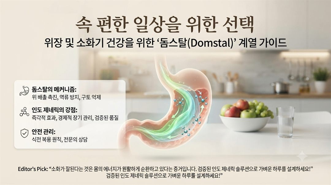 속 편한 일상을 위한 선택: 돔스탈(Domstal) 계열 가이드